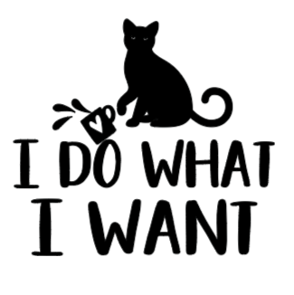 I Do What I Want Car Vinyl