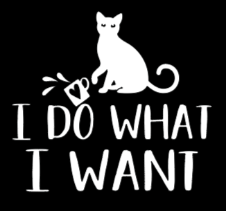 I Do What I Want Car Vinyl