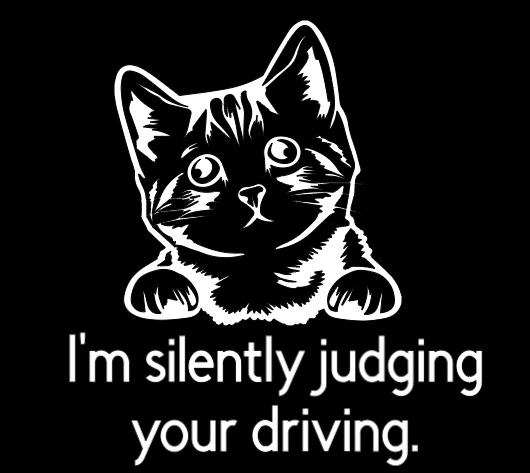 Secretly Judging Your Driving Car Vinyl