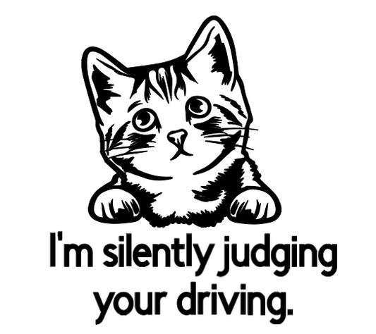 Secretly Judging Your Driving Car Vinyl